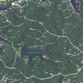 Tire tracks into woods, no vehicle found