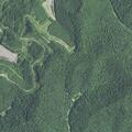 Woman with facial swelling and vomiting at Casey Fork Rd