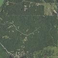 Person experiencing stroke at Ware Lake Road