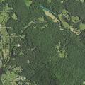 Person with heart problems at Buck Ridge Road