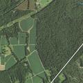 Person having difficulty breathing at Marengo Plantation Lane