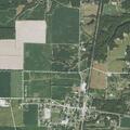 Person dumping poison in yards to harm animals