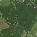 Person reports abdominal pain near Burrell Drive