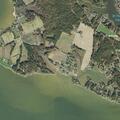 Children scream for 10-15 minutes near Coltons Point