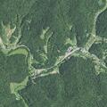 Officer reported out for animal seizure on Straight Fork near Griffithsville