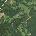 person with diabetic problems at albano road