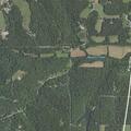 Person near Muffin Road experiencing breathing problems