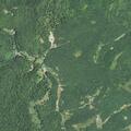 Tree blocks road near One Mile Road in Lincoln County