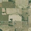Person bitten by dog near Fort Branch