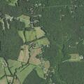 77-year-old man bleeding from cat scratch in King George