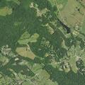 Person experiencing difficulty breathing near Springbrook Lane