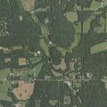 Loose cow blocking roadway on Project Road