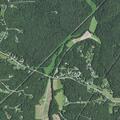 Four juveniles reported missing after leaving on foot