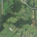 Woman possibly impaired walking on road in Weyers Cave