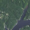 Partially submerged tree hazard on local waterway