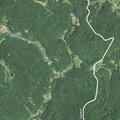 Person fell near Madison Creek Road