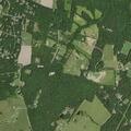 Person experiencing chest pain at Cornfield Lane