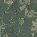 Loose dog complaint on Carter Lane in Robertsville