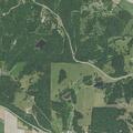 Soybean field fire spreading near South Teal Bottom Road