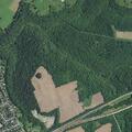 Youths reported trespassing on private property