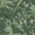 Person reporting chest pain near Evergreen Loop