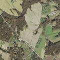 Family dispute with bats reported on Horseshoe Road