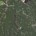 Loose dogs reported near Mill Creek Marina