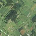 Loose dogs scaring livestock at Bridgewater farm
