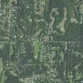 Person reported sick near Local Hillsboro Road