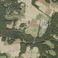 19-year-old pregnant female spotting at Colton Point Rd