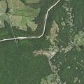 Person reported sick near Rapidan Drive, Fredericksburg