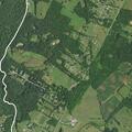 Two people assaulted at Rapidan house driveway