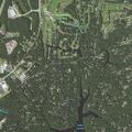 Animal complaint on Rawhide Road in Lusby