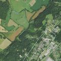 Person feeling dizzy overnight near Ruth Road