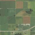 Loose cow reported near Illinois Route 15