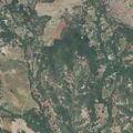 Altered person reported near Bennett Valley Road