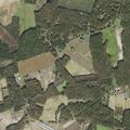 Female with paralysis after fall at Morris Center Road