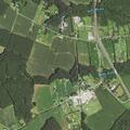Medical alarm triggered near Pitts Road in Showell