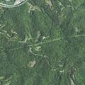 Person vomiting and having diarrhea at Hash Ridge Road