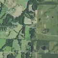Person bitten by dog near Greenridge Road