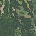 No one found after entry near County Road 703 in Bland