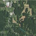 Man aged 57 reports bladder pain near Timberwolf Ln