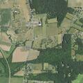 82-year-old female with ankle pain in Elkton