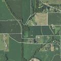 75-year-old man injured by wood while cutting