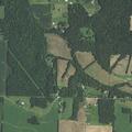 Large tree blocking Martinsburg Fire Road