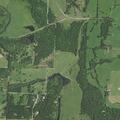 Deer struck by vehicle blocking roadway
