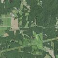 Animal bite and firearm dispute near Segelhorst Road in Leslie