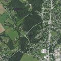 Person suffering allergic reaction near Birch Drive