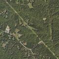 Small brush fire from lightning near woods