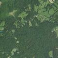 Elderly woman found weak in woods at Arrington Mountain Rd